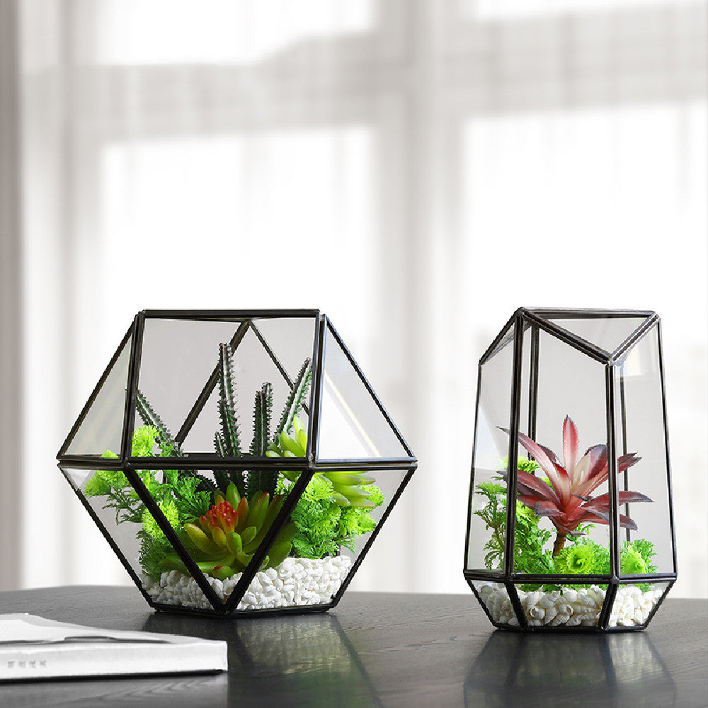 Succulent Geometric Glass Cover